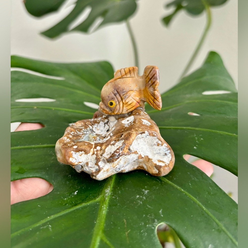 Fish Carving on Agatized Coral